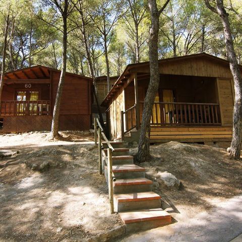 Bungalow 5 Personen - A1 - WOODMEN
