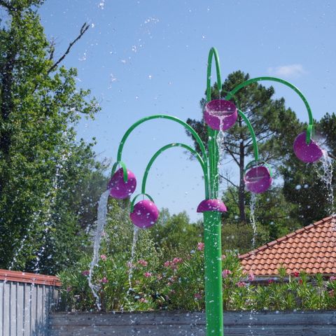 Camping Paradis Le Tastesoule - Gironde - Image N°5
