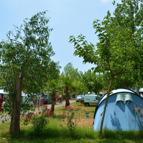 Stellplatz - 6A