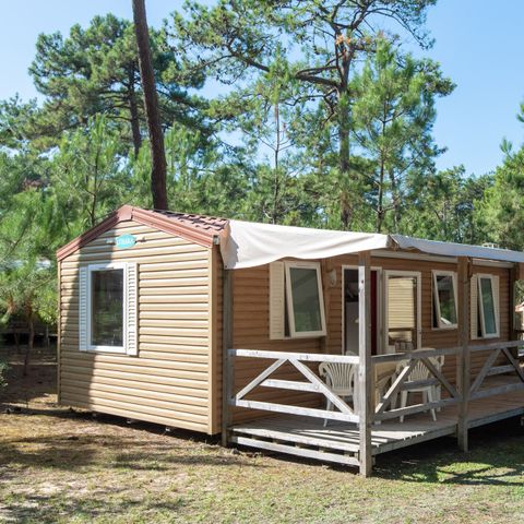 Mobilheim 4 Personen - Kamelie STANDARD.