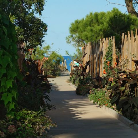 Camping San Damiano - Nordkorsika - Image N°6