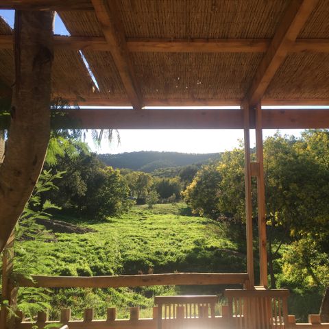 LODGE 6 Personen - Lodge Naturblick