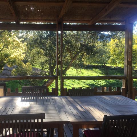 LODGE 6 Personen - Lodge Naturblick