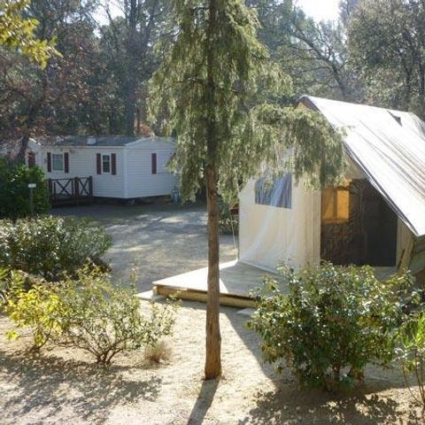 Safarizelt 4 Personen - Junior-Zelt 21 m² (ohne Sanitäranlagen) - 2 Zimmer