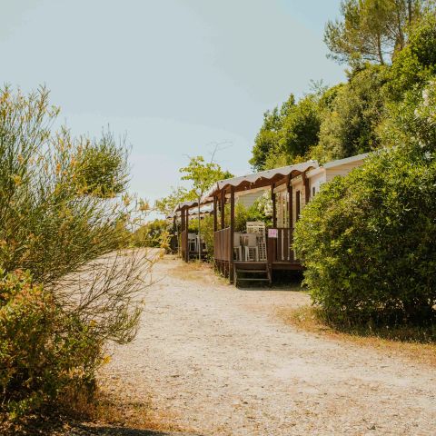 Routes du Monde - Camping Val Fleuri - Alpes-Maritimes - Image N°4