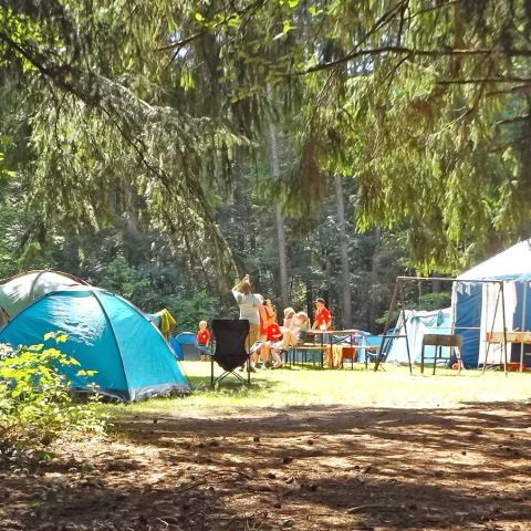 Camping Paradis - Albret - Landes - Image N°6