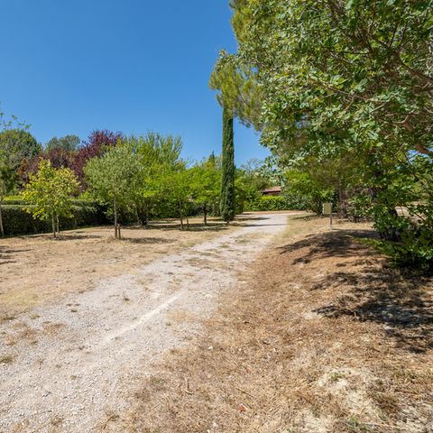 Stellplatz - Pauschale Stellplatz Confort - 80m²