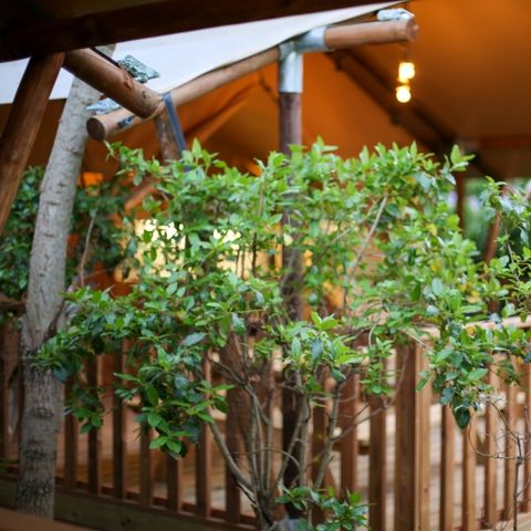 Safarizelt 4 Personen - Safari Lodge 27 m²
