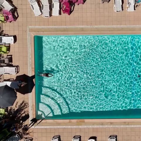 Flower Camping l'Epi Bleu - Alpes-de-Haute-Provence - Image N°2