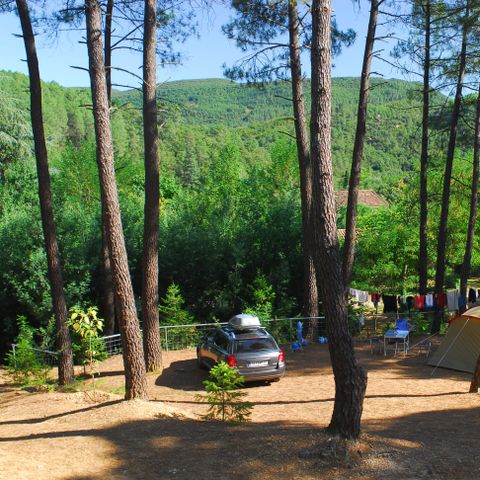 Camping La Forêt - Camping Gard - Image N°3