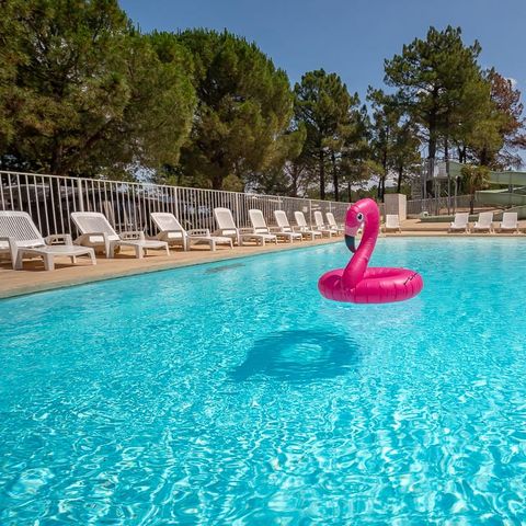 Camping La Pinède en Provence - Vaucluse - Image N°4