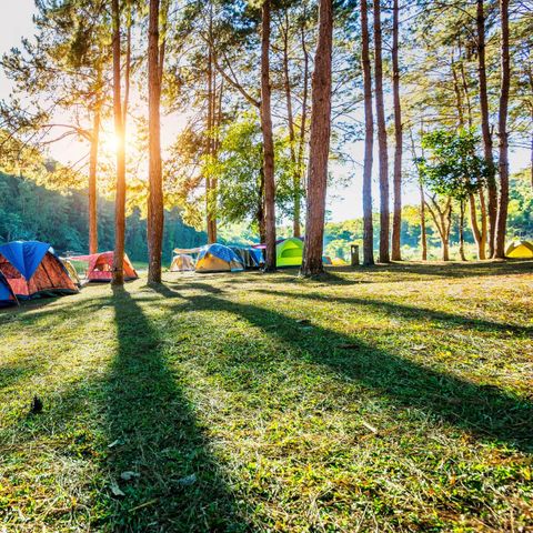Le Petit Bois 46 - Village de gites et Camping - Camping Lot - Image N°2