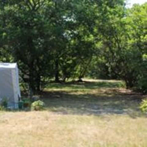 Stellplatz - NACKTES CAMPING