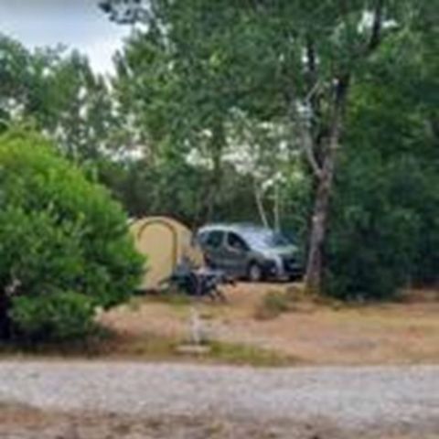 Stellplatz - NACKTES CAMPING
