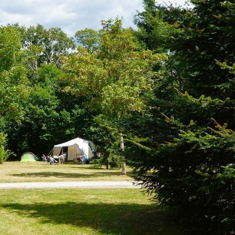 Stellplatz - Pauschale Stellplatz Confort Grande Taille 120m²