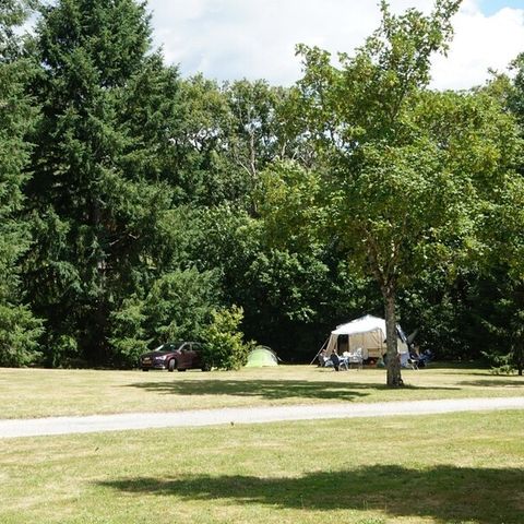 Stellplatz - Pauschale Stellplatz Confort Grande Taille 180m²