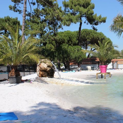 Camping Les Pins d'Oléron  - Charente-Maritime - Image N°5