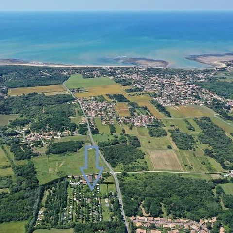 Camping Ile d'Oléron - Le Montet d'Oléron - Charente-Maritime - Image N°6