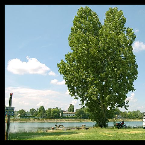 Stellplatz - Angeln