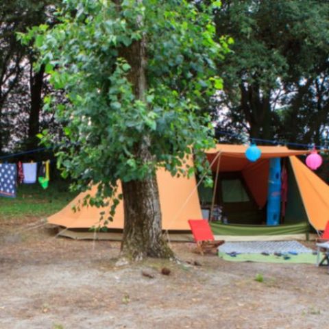 Stellplatz - EMP + FAHRZEUG(E) (V, CC, CARAVAN)