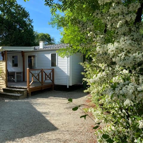Mobilheim 6 Personen - Mobilheim Confort - 3 Zimmer
