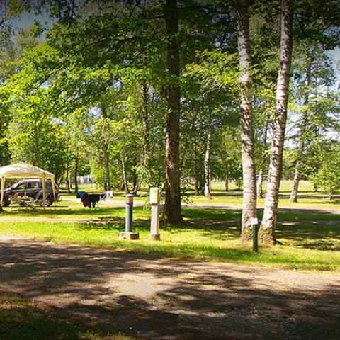  Le camping des Pins-Only Camp - Camping Cher - Image N°3