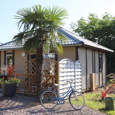 Chalet 4 personen - Standard 35m² - 2 Schlafzimmer + nicht überdachte Terrasse