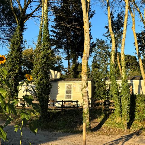 Mobilheim 1 Person - 02-Mobilheim Doppelhaushälfte Standard 17m2 (1 Schlafz. - 1 Pers.) + TV + Klimaanlage - Preis für 2 Personen