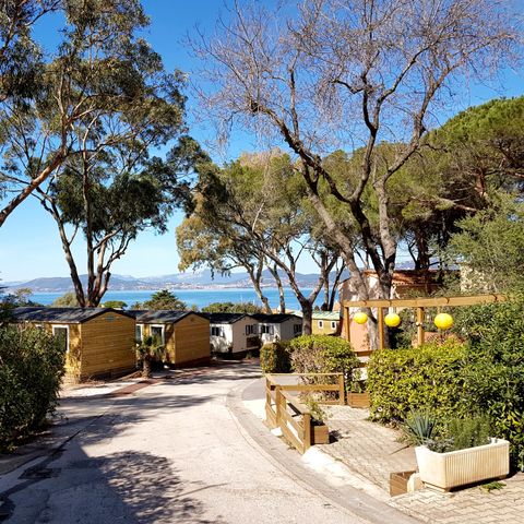Camping Clair de Lune - Camping Var - Image N°2