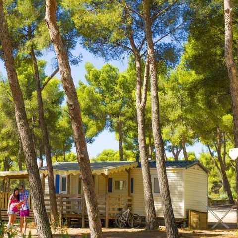 Camping AEC Vacances Les Dauphins - Camping Var - Image N°3