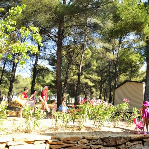 Camping AEC Vacances Les Dauphins - Camping Var - Image N°2