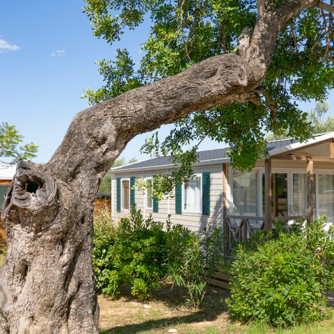 Mobilheim 6 Personen - CASITA LIMON - 26m²- 2 Schlafzimmer