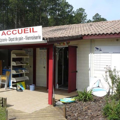 Yelloh! Village Camping La Forêt Lahitte - Camping Landes - Image N°4