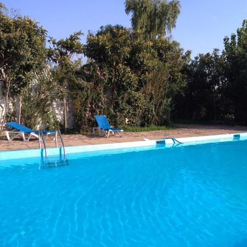 Camping La Naranja - Camping Valencia - Image N°3