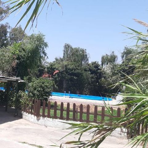 Camping La Naranja - Camping Valencia - Image N°2
