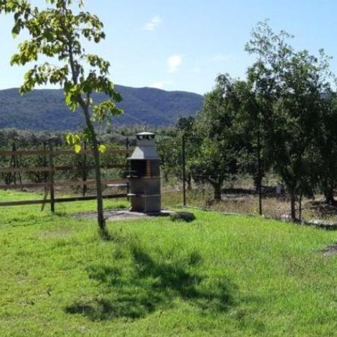 Camping La Naranja - Camping Valencia - Image N°6