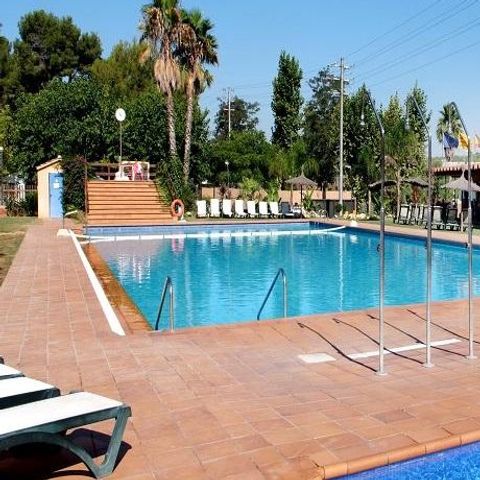 Camping Caledonia - Camping Tarragona - Image N°3
