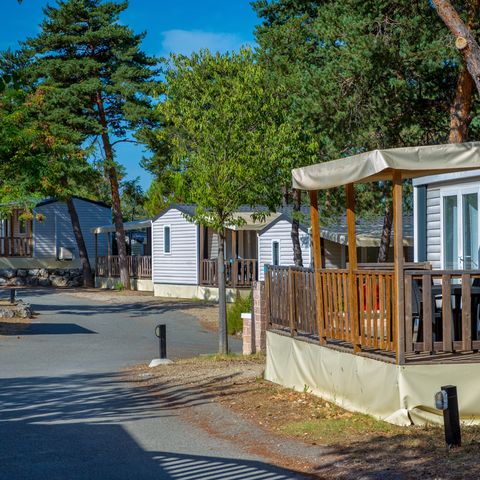 Camping Paradis La Pinède - Camping Alpes-de-Haute-Provence - Image N°5