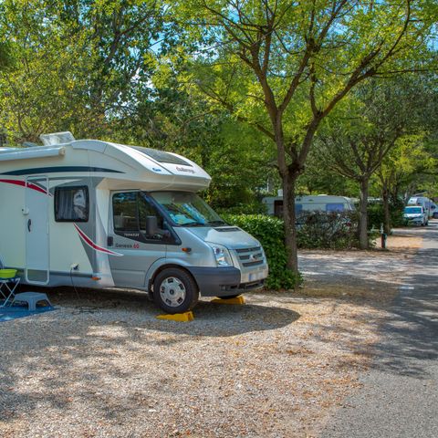 Camping La Pinède - Alpes-de-Haute-Provence - Image N°5
