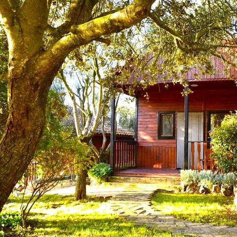 Bungalow 6 Personen - Bungalow