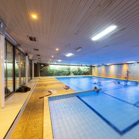 Camping Wilhelm Tell - Camping Belgisches Limburg - Image N°3