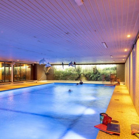 Camping Wilhelm Tell - Camping Belgisches Limburg - Image N°4