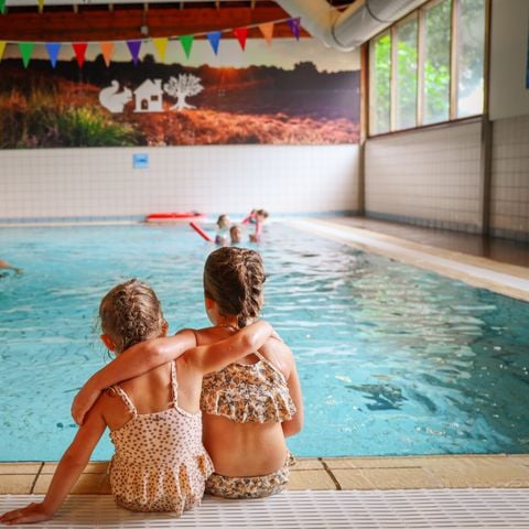 Vakantiepark Sallandshoeve - Camping Raalte - Image N°5