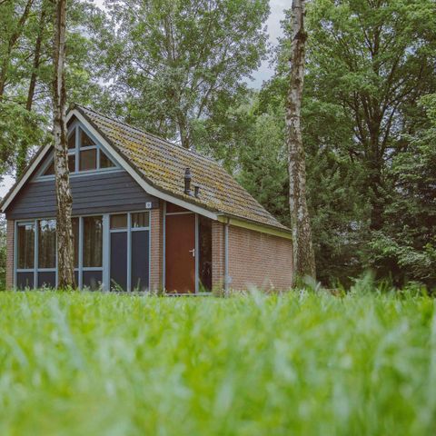 Bungalow 4 Personen - IJssel Komfort Plus