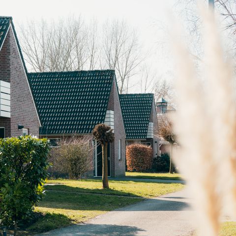Bungalow 6 Personen - Schipbeek