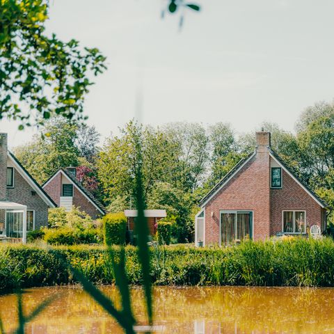 Bungalow 6 Personen - Schipbeek Plus