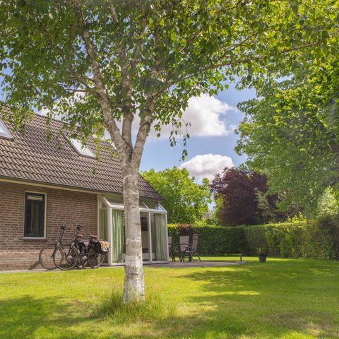 Bungalow 6 Personen - Schipbeek Plus