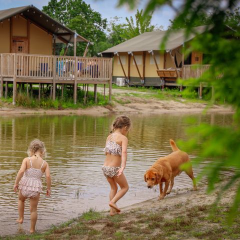 Vakantiepark Sallandshoeve - Camping Raalte - Image N°3