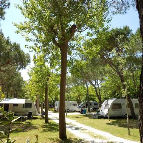 Stellplatz - Dog (Wohnmobil max 7mt)
