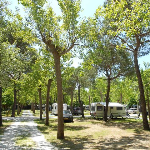 Stellplatz - Dog (Wohnmobil max 7mt)